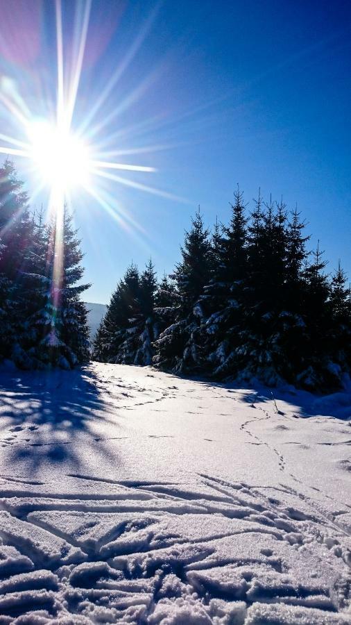 Apartment Schanzenstrasse 690 M Ue. M Winterberg Luaran gambar